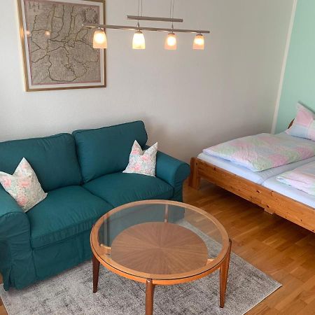 Haemmerle Fewo Holiday Apartment - Green Constance Extérieur photo